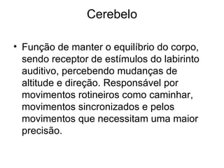 Cerebelo Função de manter o equilíbrio do corpo, sendo receptor de estímulos do labirinto auditivo, percebendo mudanças de altitude e direção. Responsável por movimentos rotineiros como caminhar, movimentos sincronizados e pelos movimentos que necessitam uma maior precisão.  