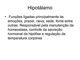 Hipotálamo Funções ligadas principalmente às emoções, prazer, raiva, sede, fome entre outras. Responsável pela manutenção da homeostase, controle da secreção hormonal da hipófise e regulação da temperatura corpórea  