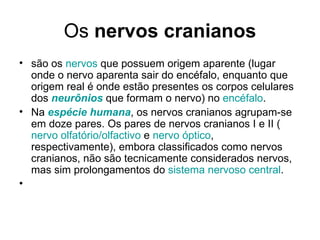 Os  nervos cranianos são os  nervos  que possuem origem aparente (lugar onde o nervo aparenta sair do encéfalo, enquanto que origem real é onde estão presentes os corpos celulares dos  neurônios  que formam o nervo) no  encéfalo . Na  espécie humana , os nervos cranianos agrupam-se em doze pares. Os pares de nervos cranianos I e II ( nervo  olfatório / olfactivo  e  nervo óptico , respectivamente), embora classificados como nervos cranianos, não são tecnicamente considerados nervos, mas sim prolongamentos do  sistema nervoso central . 
