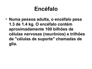 Encéfalo Numa pessoa adulta, o encéfalo pesa 1.3 de 1.4 kg. O encéfalo contém aproximadamente 100 bilhões de células nervosas (neurônios) e trilhões de "células de suporte" chamadas de glia. 