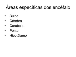 Áreas específicas dos encéfalo Bulbo Cérebro Cerebelo Ponte  Hipotálamo 