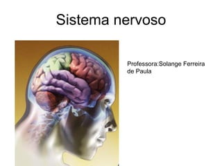 Sistema nervoso Professora:Solange Ferreira de Paula 