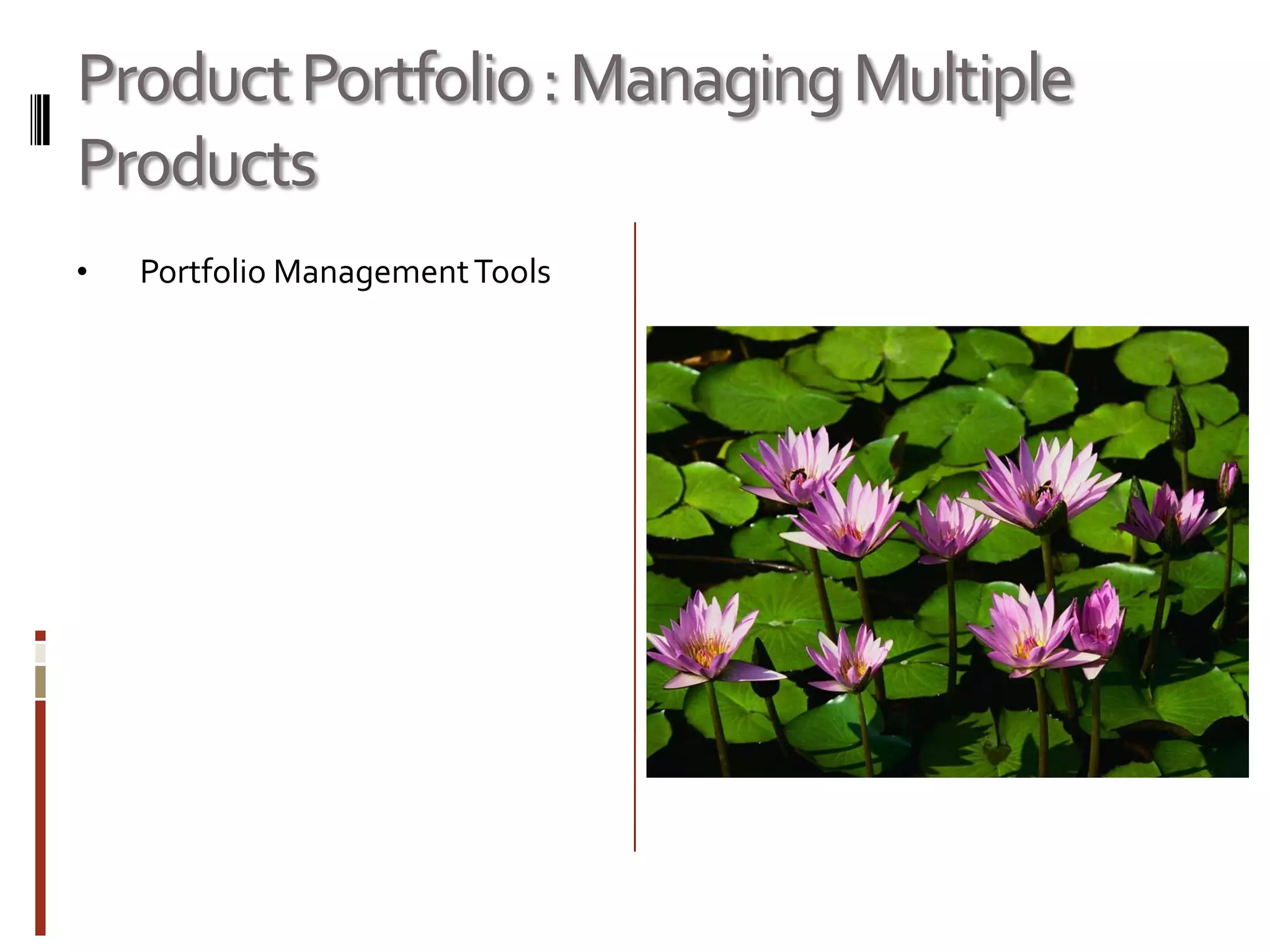Software Product Management in Web 2.0