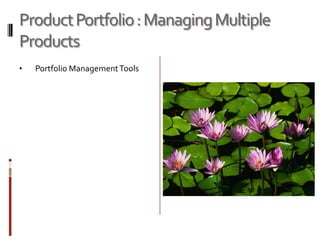 Software Product Management in Web 2.0