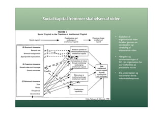 Social Kapital I Organisationer