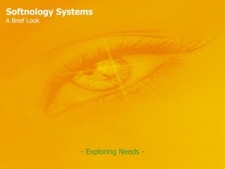 Softnology Systems A Brief Look - Exploring Needs - 