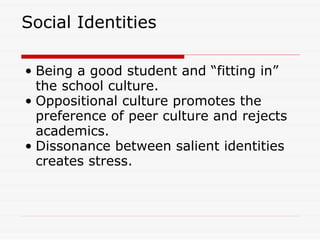 2008 Southern Sociological Society Meeting "Race Differences in Girl Violence: The Importance of School Success"