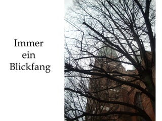Immer  ein  Blickfang 