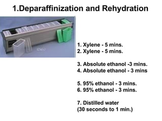 1.Deparaffinization and Rehydration 1. Xylene - 5 mins. 2. Xylene - 5 mins. 3. Absolute ethanol -3 mins. 4. Absolute ethanol - 3 mins 5. 95% ethanol - 3 mins. 6. 95% ethanol - 3 mins. 7. Distilled water  (30 seconds to 1 min.) 