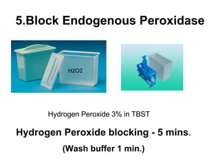 5.Block Endogenous Peroxidase Hydrogen Peroxide 3% in TBST H2O2 Hydrogen Peroxide blocking - 5 mins . (Wash buffer 1 min.)  