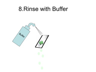 8.Rinse with Buffer Buffer 