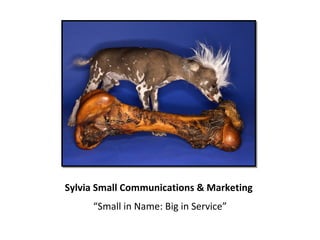 Sylvia Small Communications & Marketing ,[object Object]