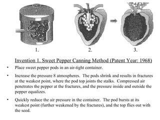 Place sweet pepper pods in an air-tight container. Increase the pressure 8 atmospheres.  The pods shrink and results in fractures at the weakest point, where the pod top joints the stalks.  Compressed air penetrates the pepper at the fractures, and the pressure inside and outside the pepper equalizes. Quickly reduce the air pressure in the container.  The pod bursts at its weakest point (further weakened by the fractures), and the top flies out with the seed. Invention 1. Sweet Pepper Canning Method (Patent Year: 1968) 1. 2. 3. 