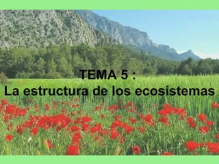 TEMA 5 :  La estructura de los ecosistemas 