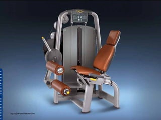 Tg Company Profile 2008