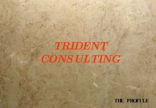 THE PROFILE TRIDENT CONSULTING 