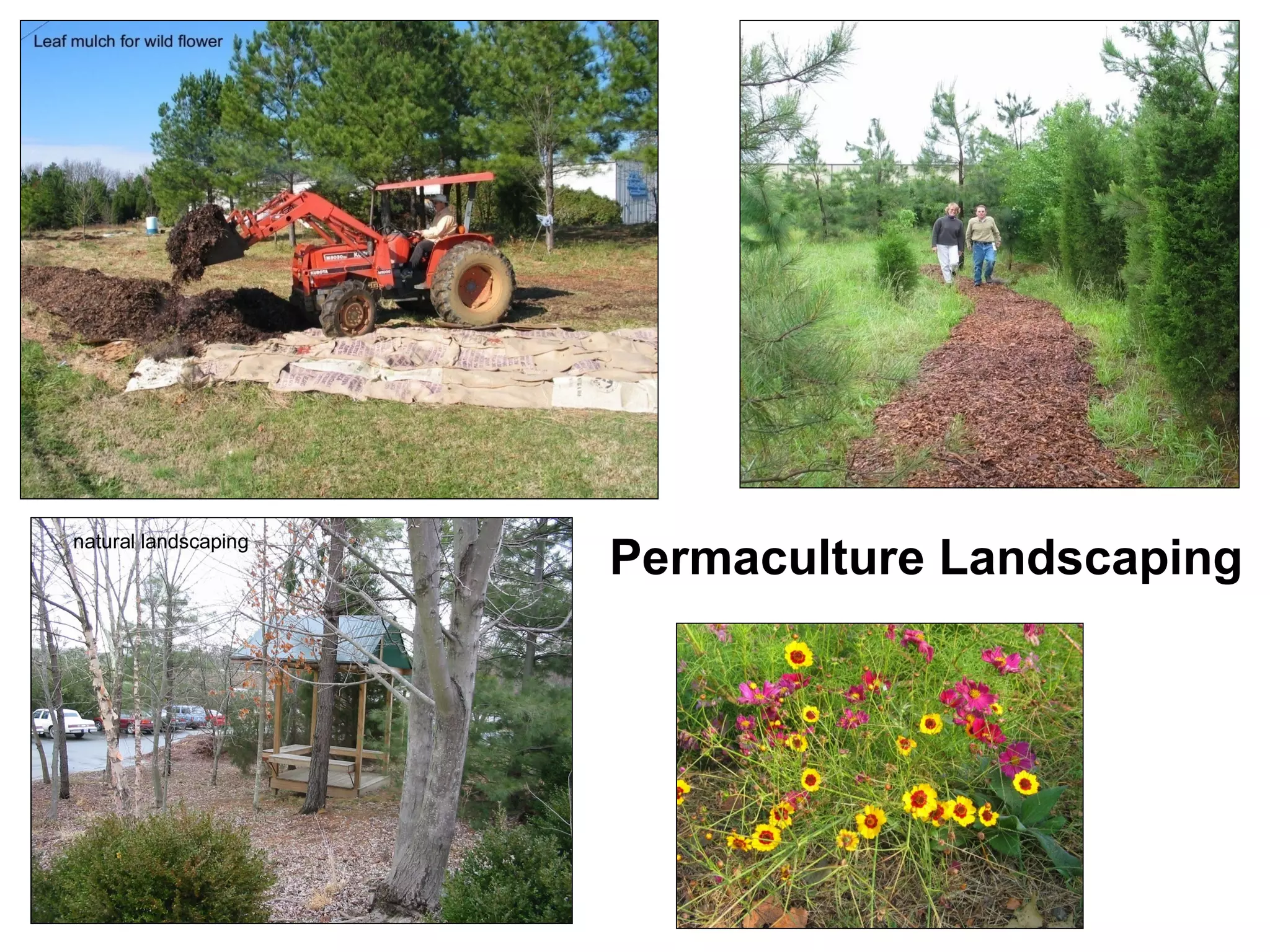 Permaculture Landscaping