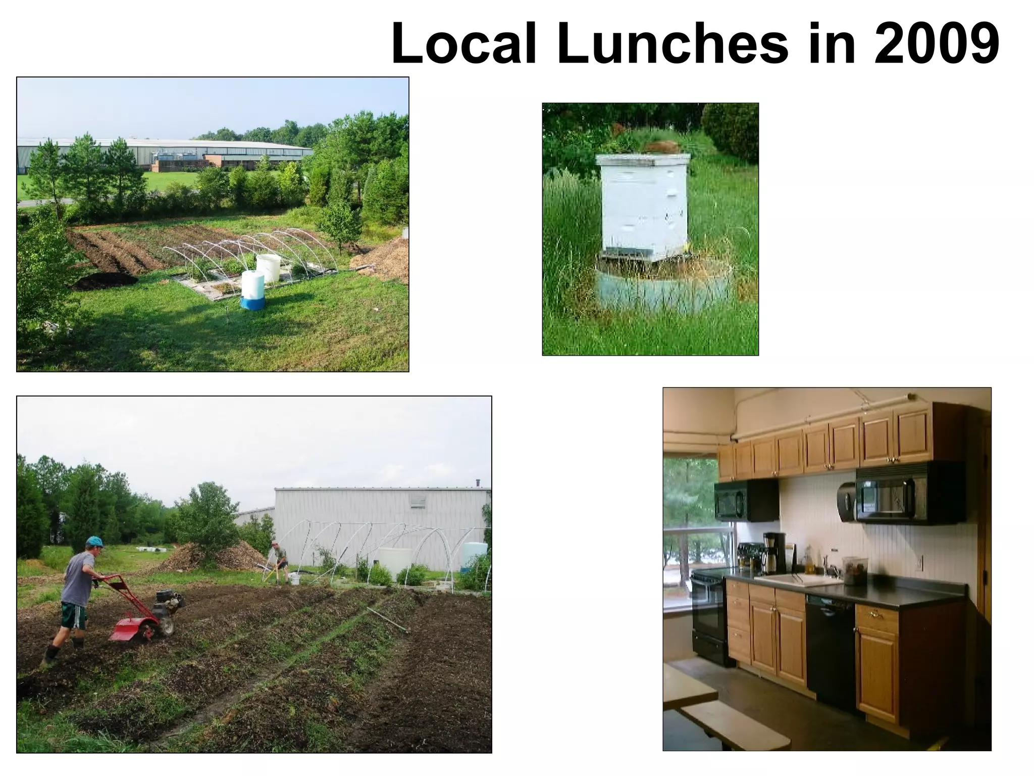 Local Lunches in 2009