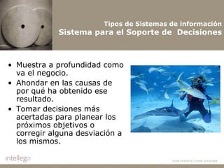 Muestra a profundidad como va el negocio. Ahondar en las causas de por qué ha obtenido ese resultado.  Tomar decisiones más acertadas para planear los próximos objetivos o corregir alguna desviación a los mismos.   Tipos de Sistemas de información Sistema para el Soporte de  Decisiones 