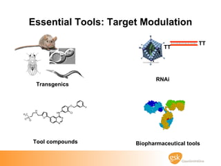 Essential Tools: Target Modulation Transgenics RNAi Tool compounds Biopharmaceutical tools TT TT 