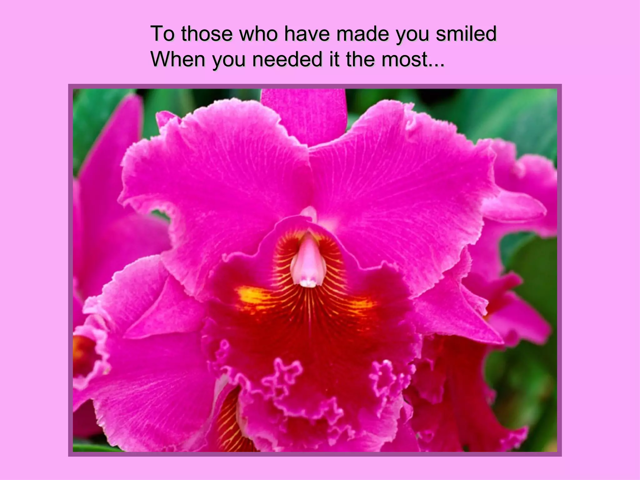 To those who have made you smiled  When you needed it the most...  