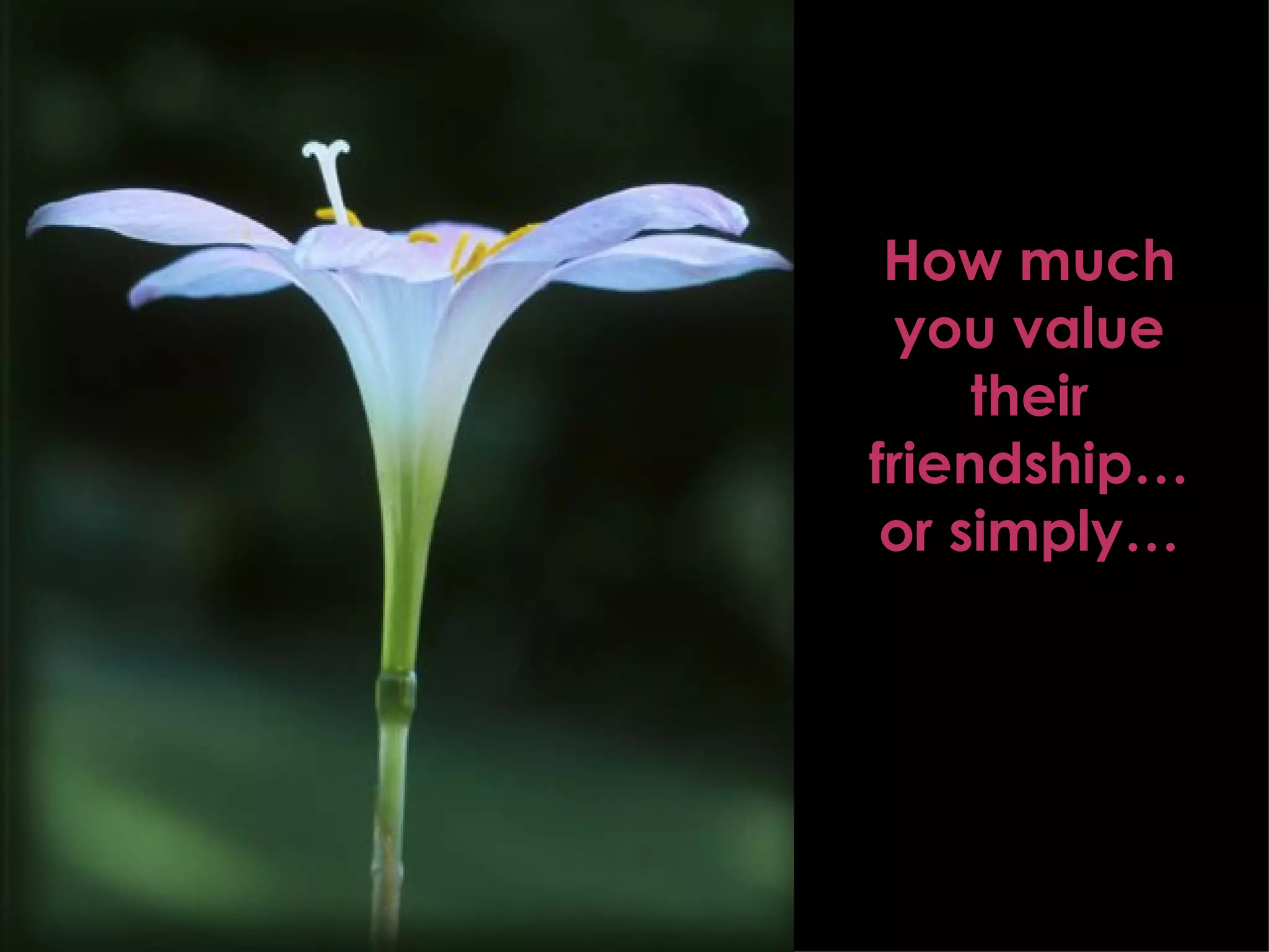 How much you value their friendship… or simply… 