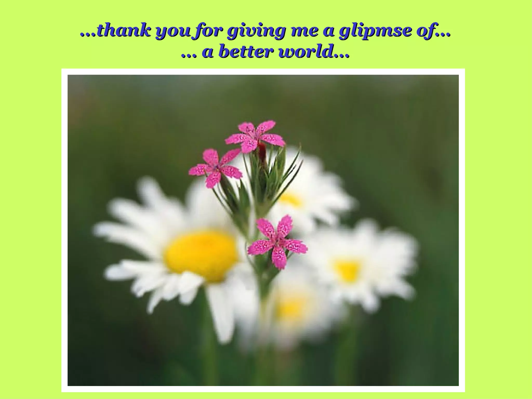 … thank you for giving me a glipmse of… …  a better world… 