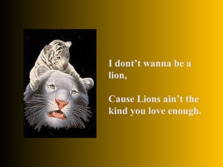 I dont’t wanna be a lion, Cause Lions ain’t the kind you love enough.  