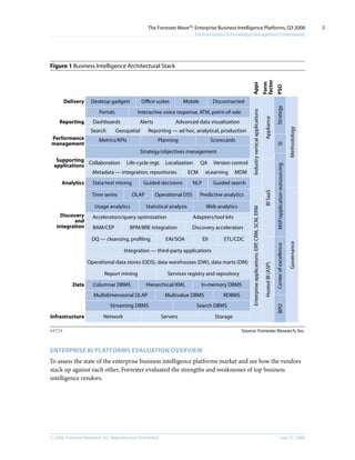 The Forrester Wave Enterprise Business Intelligence Platforms, Q3 2008