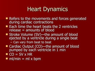 Heart Dynamics Refers to the movements and forces generated during cardiac contractions Each time the heart beats the 2 ventricles release = amounts of blood Stroke Volume (SV)—the amount of blood ejected by a ventricle during a single beat Can vary from beat to beat Cardiac Output (CO)—the amount of blood pumped by each ventricle in 1 min CO = SV x HR ml/min = ml x bpm 
