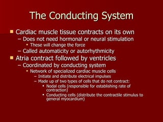 The Conducting System Cardiac muscle tissue contracts on its own Does not need hormonal or neural stimulation These will change the force Called automaticity or autorhythmicity Atria contract followed by ventricles Coordinated by conducting system Network of specialized cardiac muscle cells  Initiate and distribute electrical impulses Made up of two types of cells that do not contract: Nodal cells (responsible for establishing rate of contraction) Conducting cells (distribute the contractile stimulus to general myocardium) 