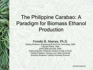 Fiorello B. Abenes, Ph.D. Visiting Professor, Engineering R and D for Technology, 2009 Fulbright Fellow, 2009 DOST Balik-Scientist, 2008  Visiting Scientist, Philippine Carabao Center at CLSU Visiting Professor, Central Luzon State University Emeritus Professor, CalPoly University Pomona The Philippine Carabao: A Paradigm for Biomass Ethanol Production All rights reserved 