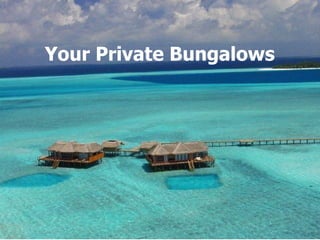 Your Private Bungalows 