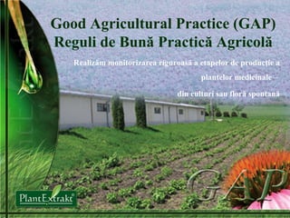 Good Agricultural Practice (GAP) Reguli de Bună Practică Agricolă Realizăm monitorizarea riguroasă a etapelor de producţie a plantelor medicinale –  din culturi sau floră spontană 