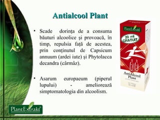 Antialcool Plant Scade  dorinţa de a consuma băuturi alcoolice şi provoacă, în timp, repulsia faţă de acestea, prin conţinutul de Capsicum annuum (ardei iute) şi Phytolacca decandra (cârmâz). Asarum europaeum (piperul lupului) - ameliorează simptomatologia din alcoolism. 