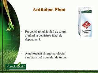 Antitabac Plant Provoacă  repulsia faţă  de tutun, ajutând la depăşirea fazei de dependenţă . Ameliorează  simptomatologia caracteristică abuzului de tutun . 