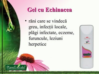 Gel cu Echinacea răni care se vindecă greu, infecţii locale, plăgi infectate, eczeme, furuncule, leziuni herpetice 