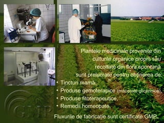 Plantele medicinale provenite din  culturile organice proprii sau  recoltate din flora spontană  sunt prelucrate pentru obţinerea de: Tincturi mamă,  Produse gemoterapice  (macerate glicerinice) ,  Produse fitoterapeutice, Remedii   homeopat e .   Fluxurile de fabricaţie sunt certificate GMP. 