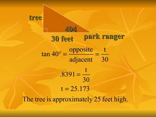 tree park ranger 40  30 feet 