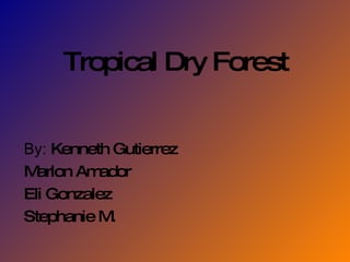 Tropical Dry Forest By:  Kenneth Gutierrez Marlon Amador  Eli Gonzalez  Stephanie M. 