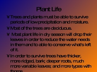 Plant Life Trees and plants must be able to survive periods of low precipitation and moisture. Most of the trees are deciduous. Most plant life in dry season will drop their leaves in order to reduce the water needs in them and to able to conserve what's left of it. In order to survive trees have thicker, more ridged, bark; deeper roots, much more variable leaves; and more types with thorns.  