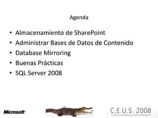 Trucos, OptimizacióN Y Buenas PráCticas Para Sql
