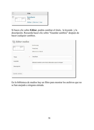 Tutorial Completo Wordpress