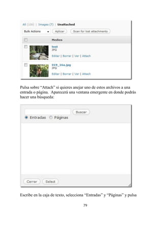 Tutorial Completo Wordpress