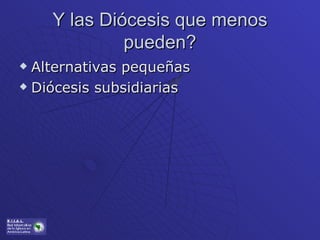 Y las Diócesis que menos pueden? Alternativas pequeñas Diócesis subsidiarias 