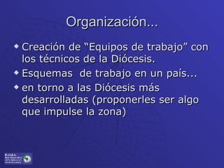 Organización... Creación de “Equipos de trabajo” con los técnicos de la Diócesis. Esquemas  de trabajo en un país... en torno a las Diócesis más desarrolladas (proponerles ser algo que impulse la zona) 