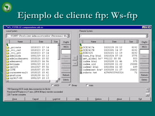 Ejemplo de cliente ftp: Ws-ftp 