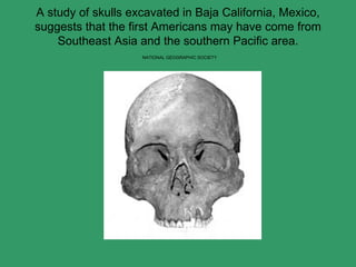 A study of skulls excavated in Baja California, Mexico, suggests that the first Americans may have come from Southeast Asia and the southern Pacific area.   NATIONAL GEOGRAPHIC SOCIETY 