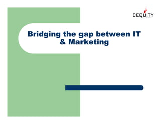 Unica Building A Customer Management Framework
