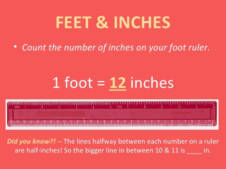 Standard Measurements Of Length